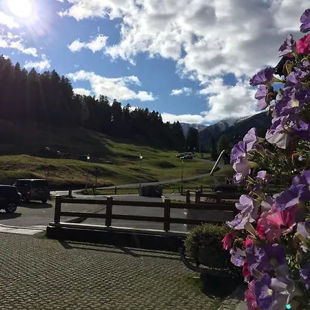 Al Bait Dali Marmota Livigno
